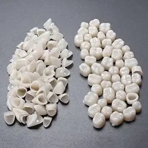 New 2 Packs Dental Temporary Crown Material for Anterior + Molar Teeth Veneers