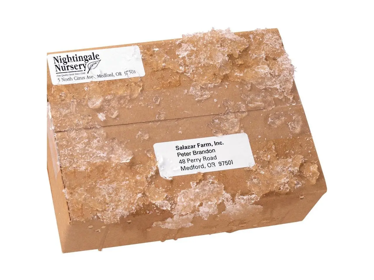 Avery WeatherProof Mailing Labels with TrueBlock Technology