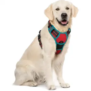 rabbitgoo ColorPop Fit No Pull Dog Harness