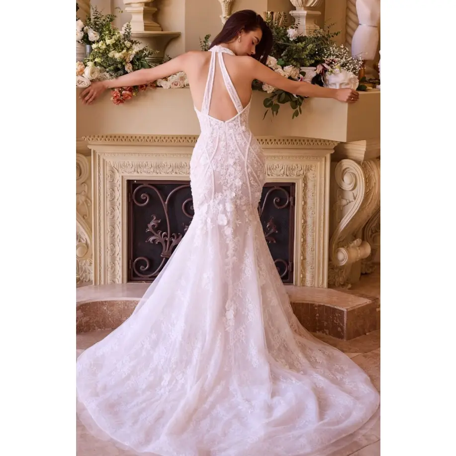 Lace Halter Neck Mermaid Wedding Dress