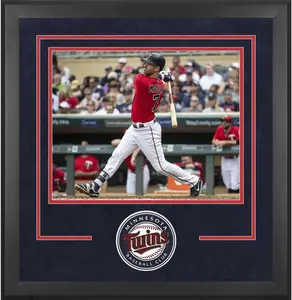 Minnesota Twins Deluxe 16" x 20" Horizontal Photograph Frame