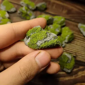 3pcs Realistic Moss Landscape Rocks, Forest Aquarium Decor, Moisture Retention Design, Micro-Pore Water Storage, Ideal for Rainforest Tanks