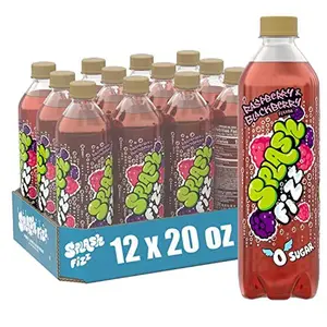Splash Fizz, Raspberry Blackberry Flavored Sparkling Water, Zero Sugar, with Electrolytes, 20 Fl Oz, 12 Pack