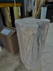 White Washed Teak Stump