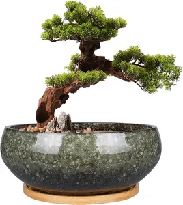 8 Inch Glazed Ceramic Bonsai Planter with Drainage Hole & Bamboo Saucer – Shallow Succulent Pot for Indoor Plants, Green