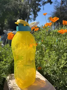 Botellas 2 litos Amarillo/ Azul