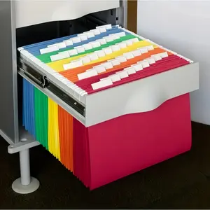 20-Pack Bright Hanging Folders, Letter Size, Expandable, Labeled, Ideal for File Cabinets, Home Office, Easy Identification and Organization