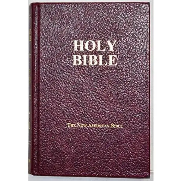USED Book - Holy Bible the New American Bible by Fireside publishing (Hardcover)