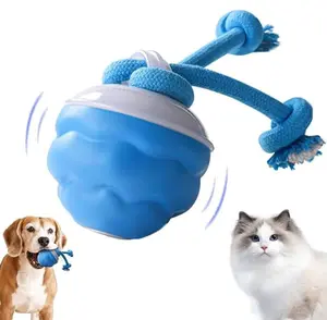 2026 New Interactive Pet Toy Ball, Smart Interactive Ball for Cats & Dogs, Electric Rolling Pet Toy Ball, Rechargeable Interactive Cat Toys for Bored Indoor Cats Kittens to Keep Busy (Blue)