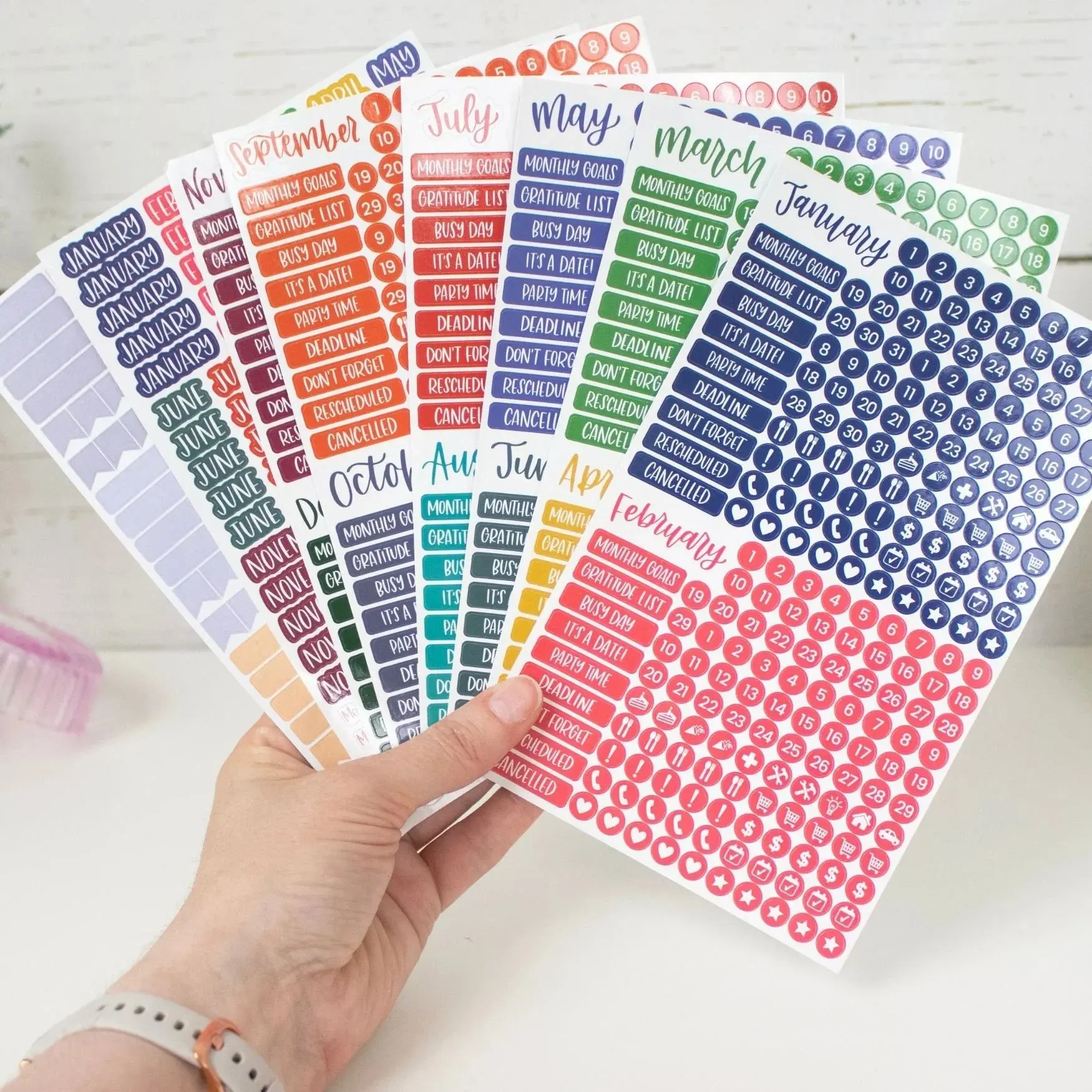 Bloom Planner Stickers Calendar Essentials Pack Happy Seasons 8 Sheets 1629 Stickers for Monthly & Daily Use with Seasonal Icons and Task Stickers Appointment