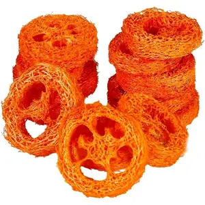 15 Pcs Fruit Flavored Loofah Slices Rabbit Chew Toys Guinea Pig Chew Toys Small Pet Chews Bunny Toys for Teeth Rabbit Toys ORGANIC NATURAL LOOFAH PET CHEW TOYS
