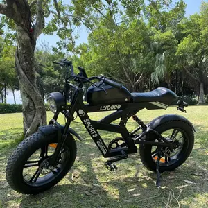 Electric Bike For Adults, 740W 20x4" Fat Tire Peak Electric E-Bike | 19MPH 40 Miles Range | 48V 18.9AH Removable Battery | Electric Dirt Bike | For Road Sand Mountain Snow | Motorbike