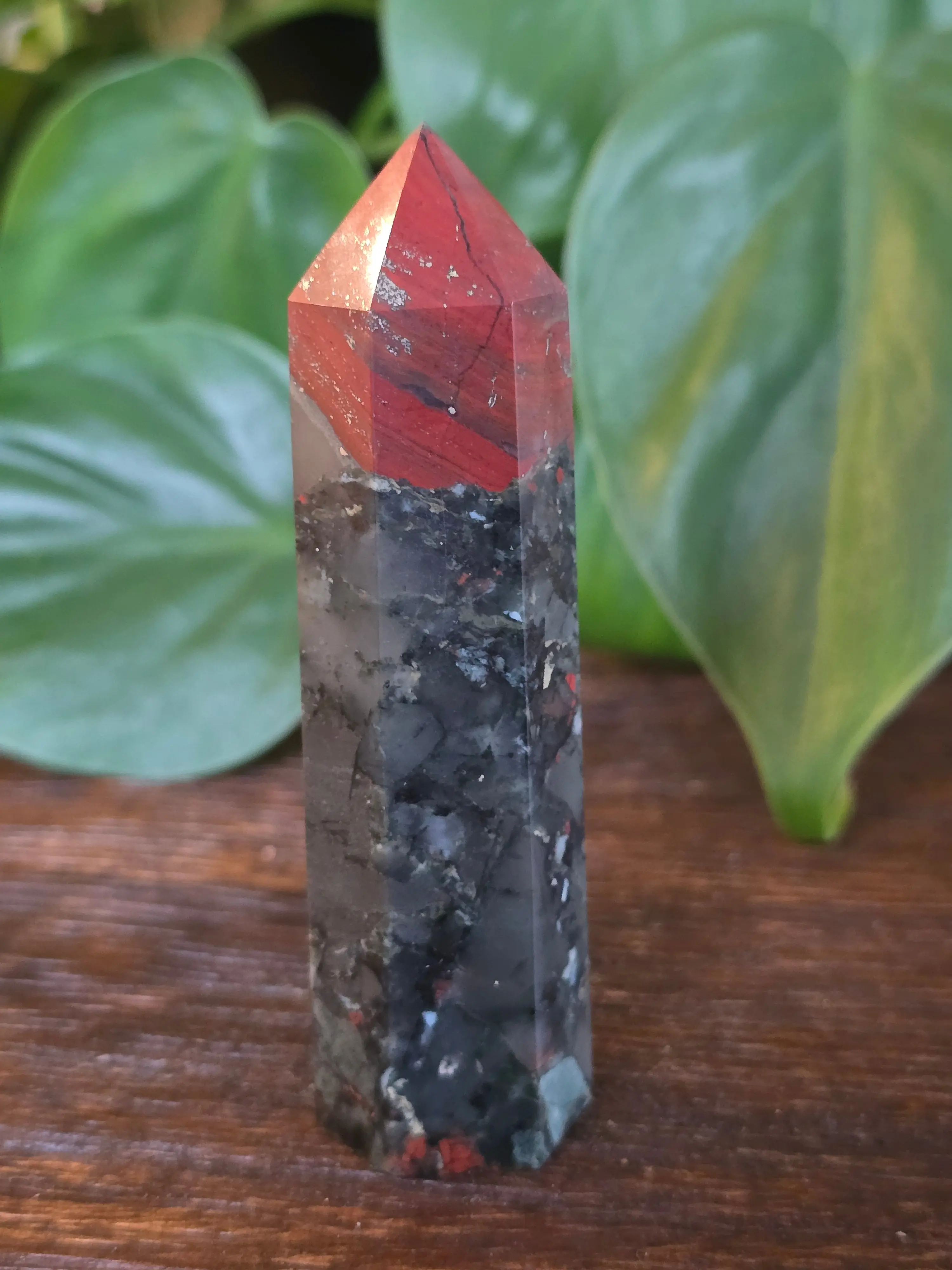 African Bloodstone Crystal Point "M"