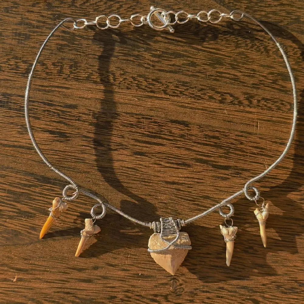 Shark Tooth Fossil Necklace