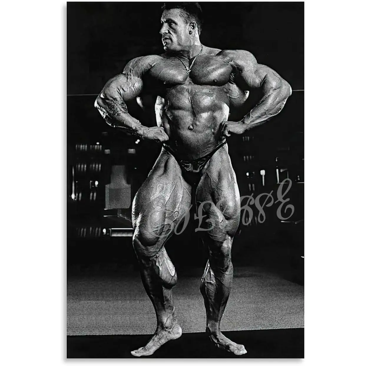 Artistic Dorian Yates Bodybuilder Photo Poster Tube, Unframed Unisex Home Decor - 24x36in (60x90cm) Health Club Wall Decoration, Kid Room Gift