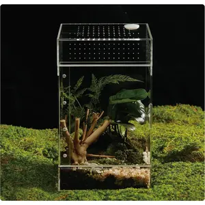 Acrylic Terrarium for Reptiles & Spiders Small/Medium/Large Leak-Proof Enclosure (Horizontal/Vertical) Ideal for Tarantulas, Jumping Spiders, Frogs & Geckos (Large, Vertical)