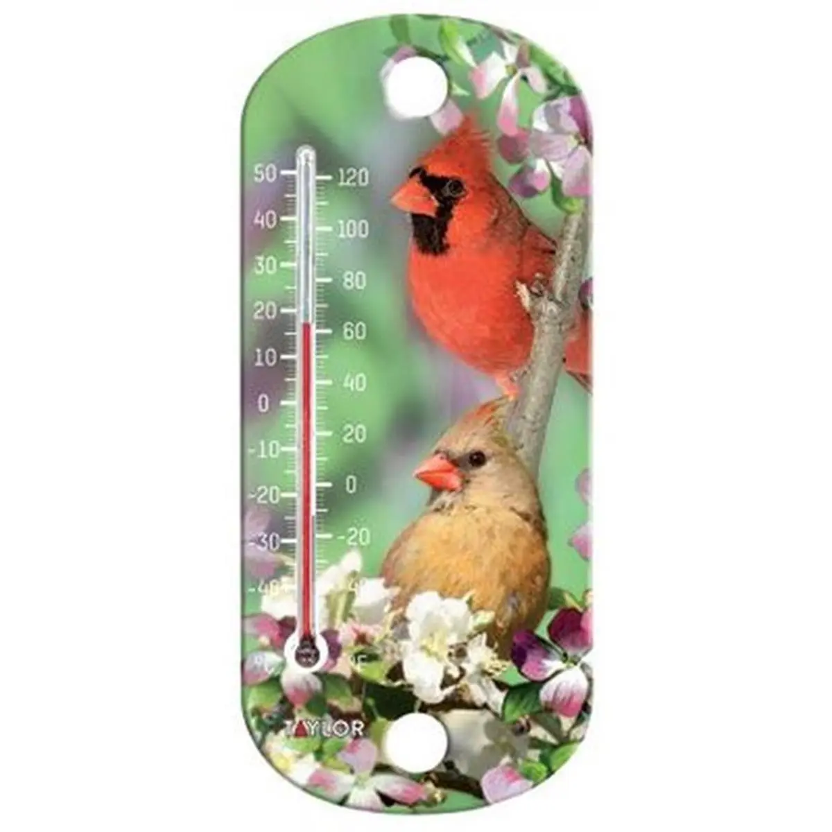Taylor 90151-000-000 Decorative Thermometer