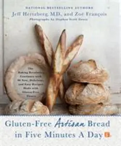 USED-Gluten-Free Artisan Bread in Five Minutes a Day: The Baking Revolution Continues with 90 New, Delicious and Easy Recipes Made with Gluten-Free Flours by Hertzberg, Jeff (Hardcover)