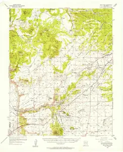Agua Fria New Mexico USGS Topographic Quadrangle Map, 1953, 1:62500