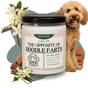 Scented Soy Candle, 9oz