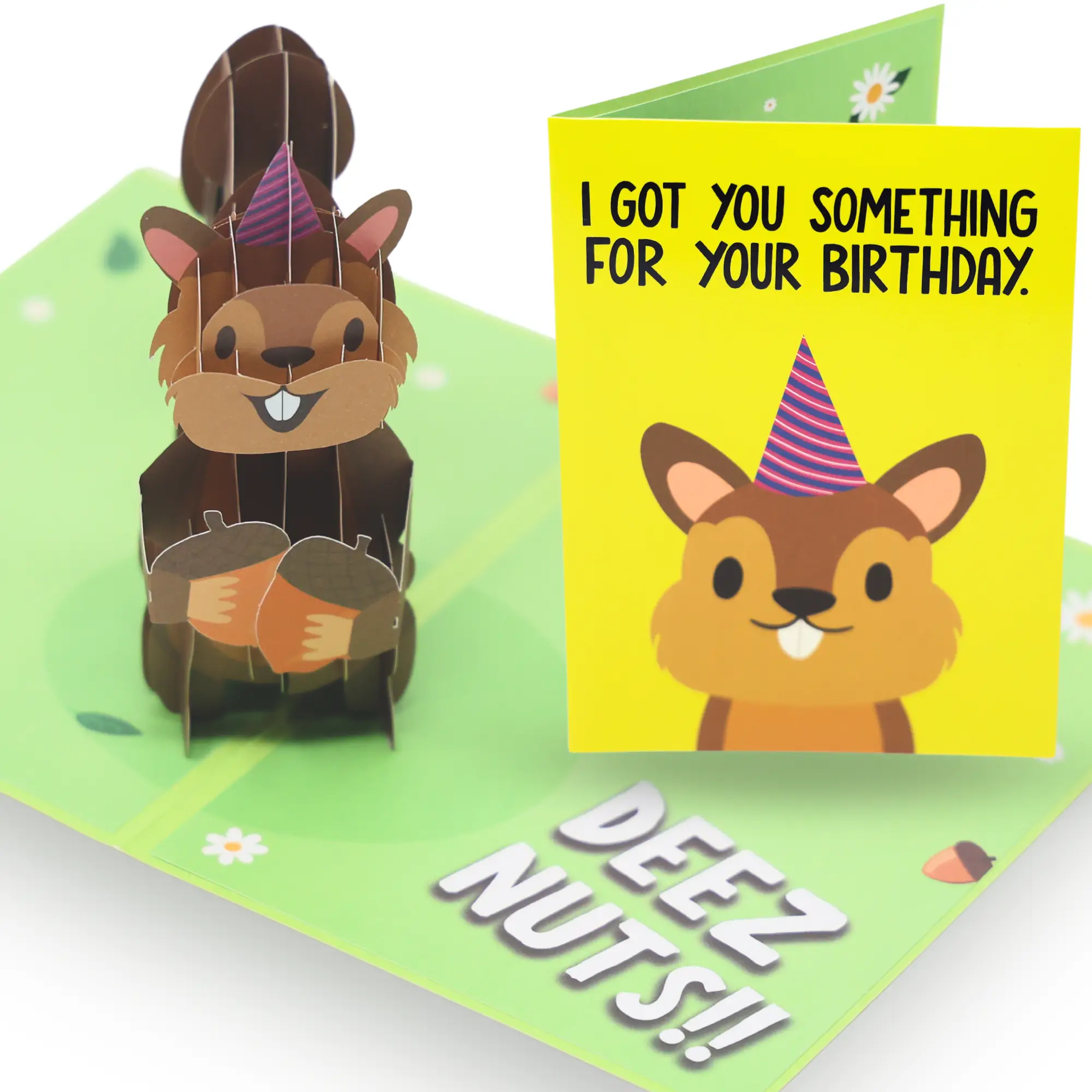 Sleazy Greetings Deez Nuts Squirrel Pop Up Birthday Card - Funny Birthday Card for Men Women - Squirrel 3D Greeting Cards 5x7 Inch | popup cards popup