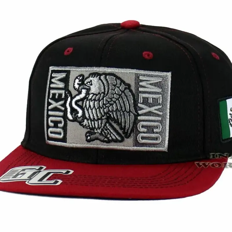 MEXICAN Hat Mesh Snapback MEXICO Federal State Flat Bill Baseball Cap- SINALOA
