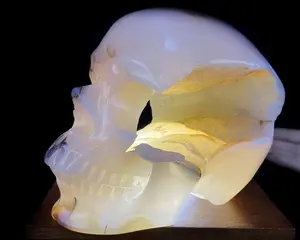 Lifesized 6.1" Agate Geode Carved Crystal Skull,Super Realistic, Crystal Healing