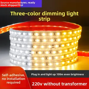 Three-color dimming lamp with led silicone light strip 220V two-color waterproof home living room ceiling line light ambient light