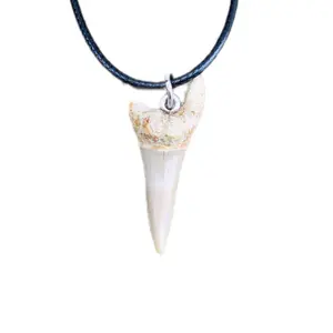Shark Tooth Fossil Pendant Necklace - Natural Design with Authentic Fossilized Tooth Charm on Black Cord