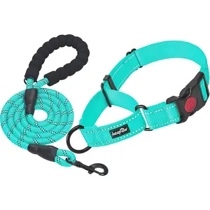 Haapaw 2 Packs Martingale Dog Collar with Quick Release Buckle Reflective Dog Training Collars for Small Medium Large Dogs haapaw