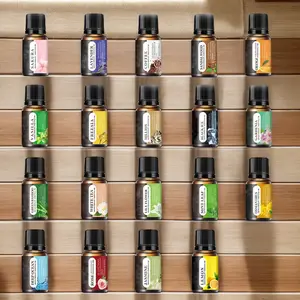 Essential Oil (16 * 0.34 Ounces), 16 Kinds Of Home Care Fragrance Essential Oil Gift Group, Reed Diffuser Oil