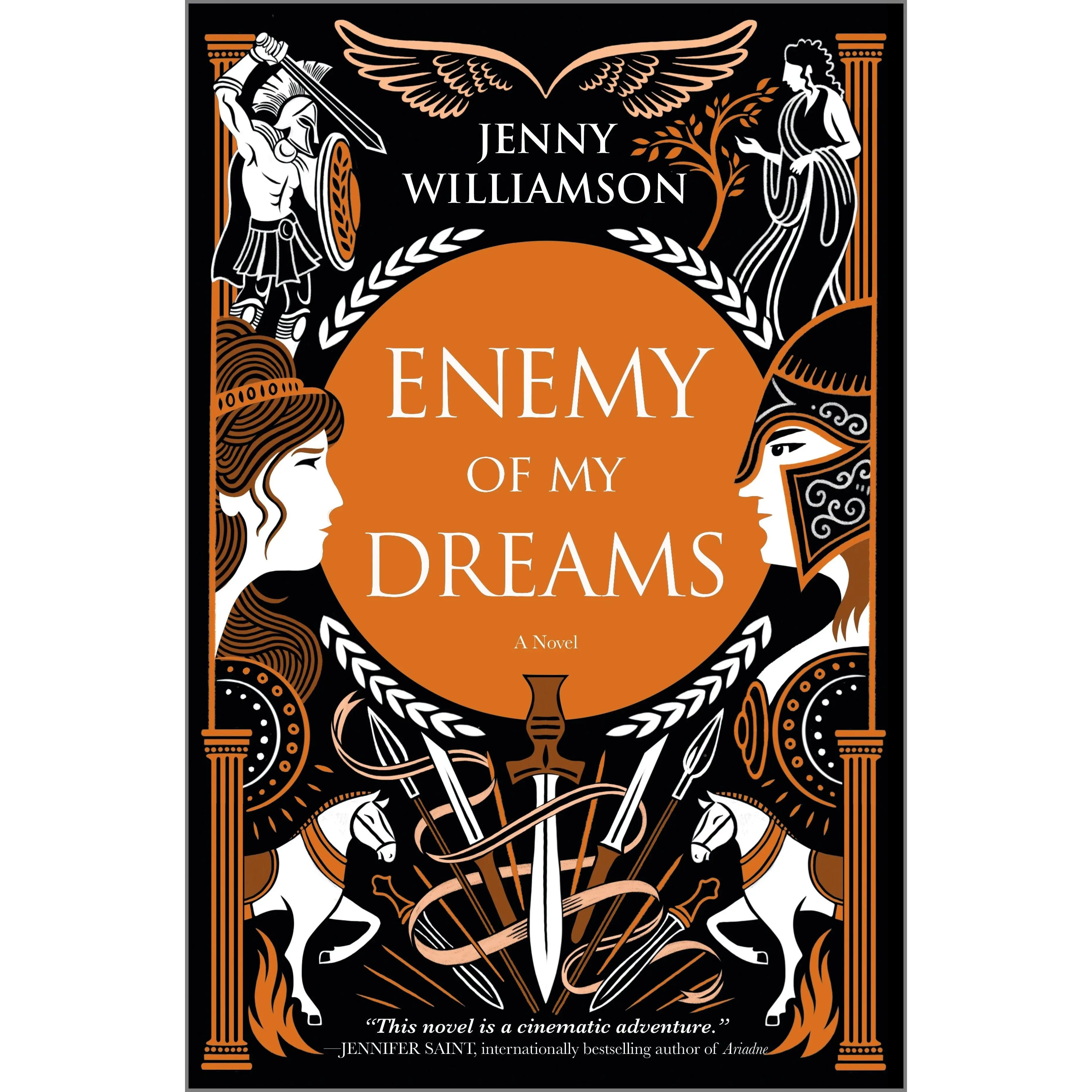 Enemy of My Dreams by Jenny Williamson [Hardback Book]