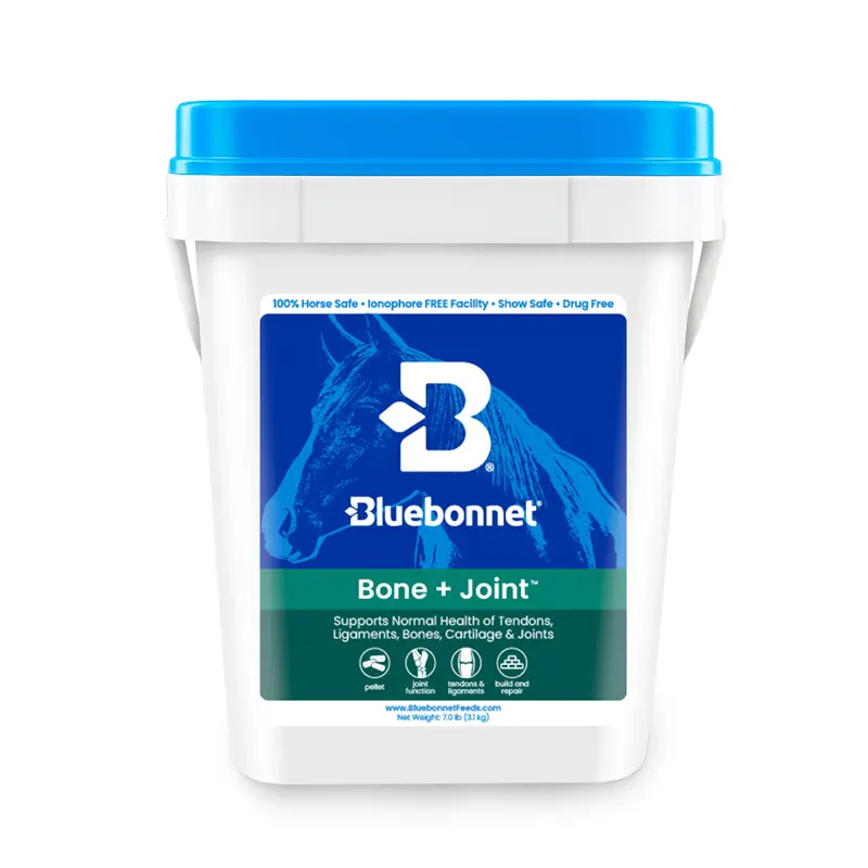 Bone + Joint Vitamin, Mineral, Chondroitin, Glucosamine Joint Supplement for Horses