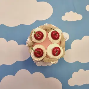 Magnetic Erin Cake | 20.0