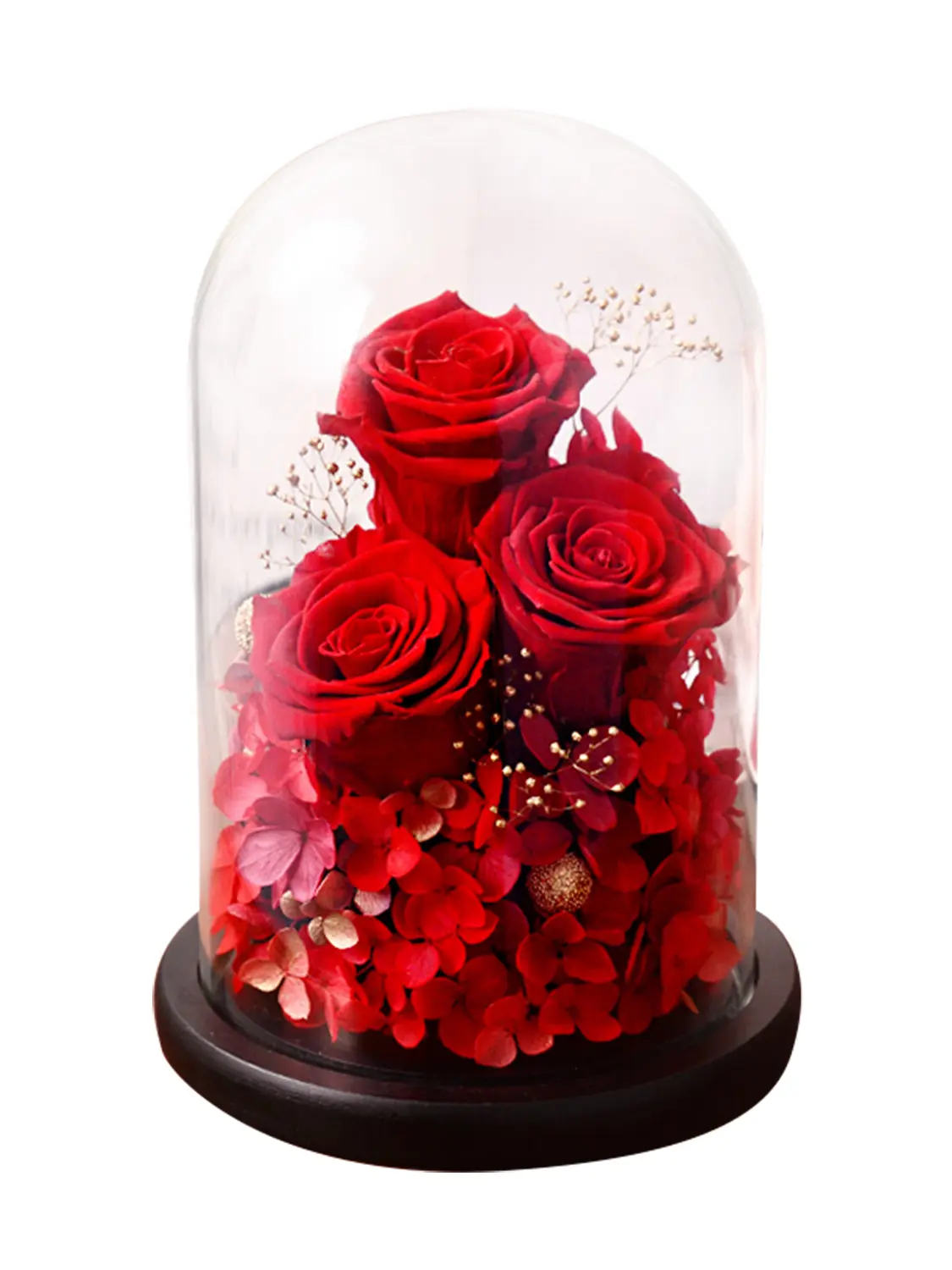 Wishwell Pop Preserved Rose, Long-Lasting Real Flowers in Glass Dome, Valentine's Day Mother's Day Birthday for Women Mom Friend, Home Déco