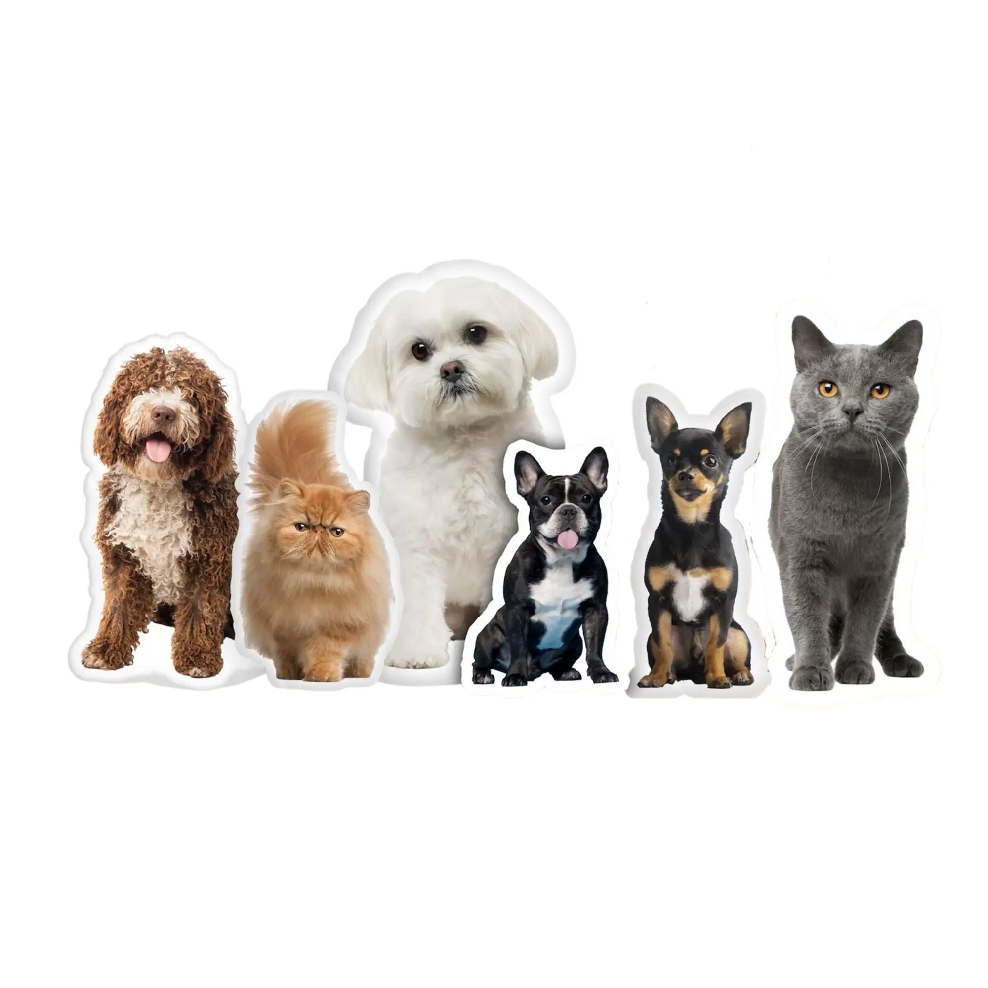 Custom Pet Shaped Pillows, Personalized Funny Pillow with Pet/Picture/People, Double Side 3D Printing Photo, for Birthday, Thanksgiving, Christmas, Halloween (14 inches)