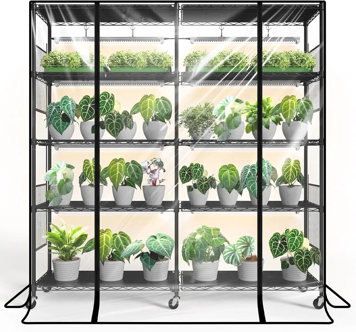 Bstrip DY155G Indoor Greenhouse with Grow Light, Large Plant Shelf with 8 Pack T8 Full Spectrum Plant Lights and Cover, mini Greenhouse for Indoor Plant, Seed Starting (58" L x 13.8" W x 59" H)