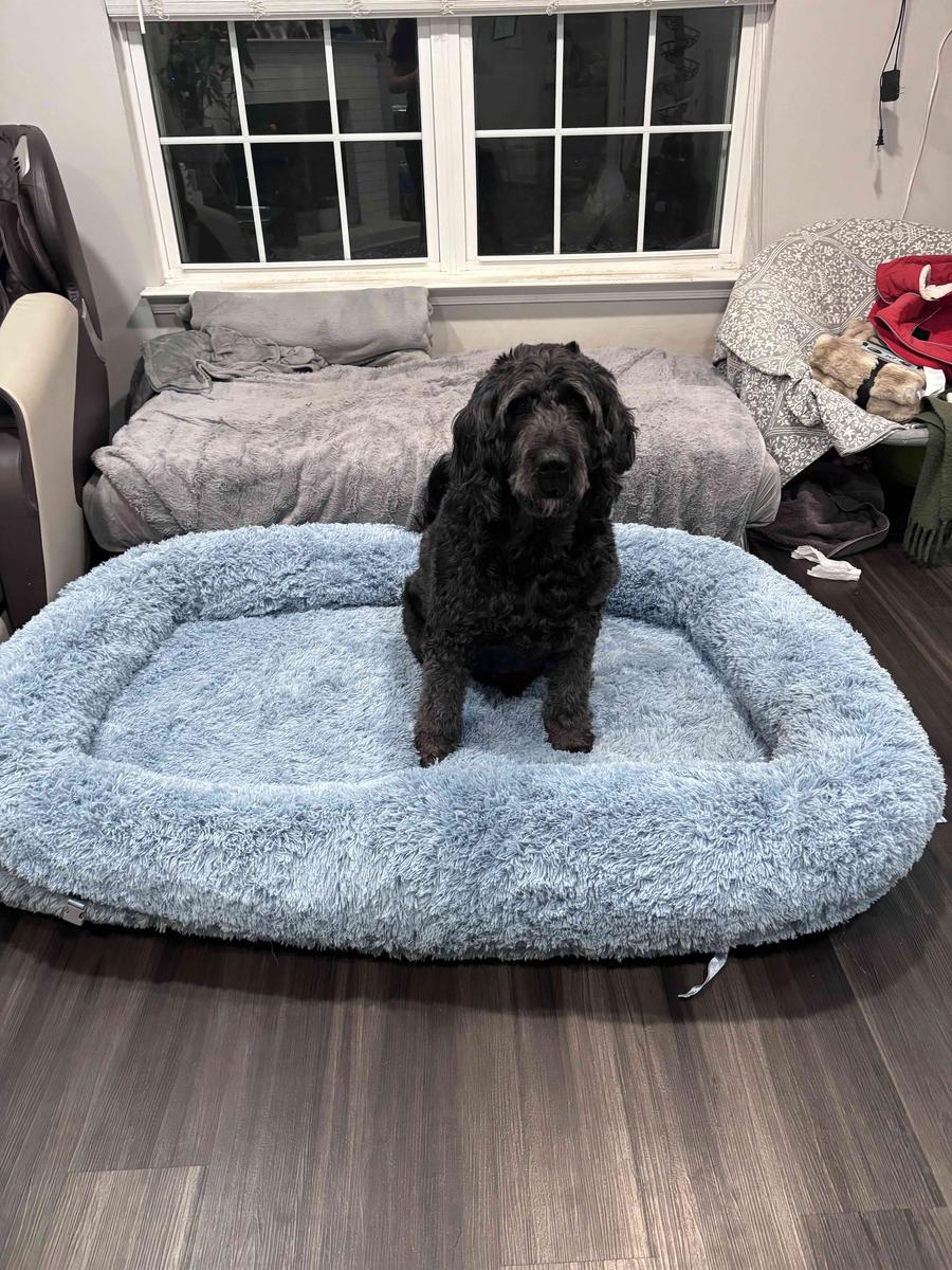 Item: 3-in-1 Flexible Baby Blue(68x44x12)