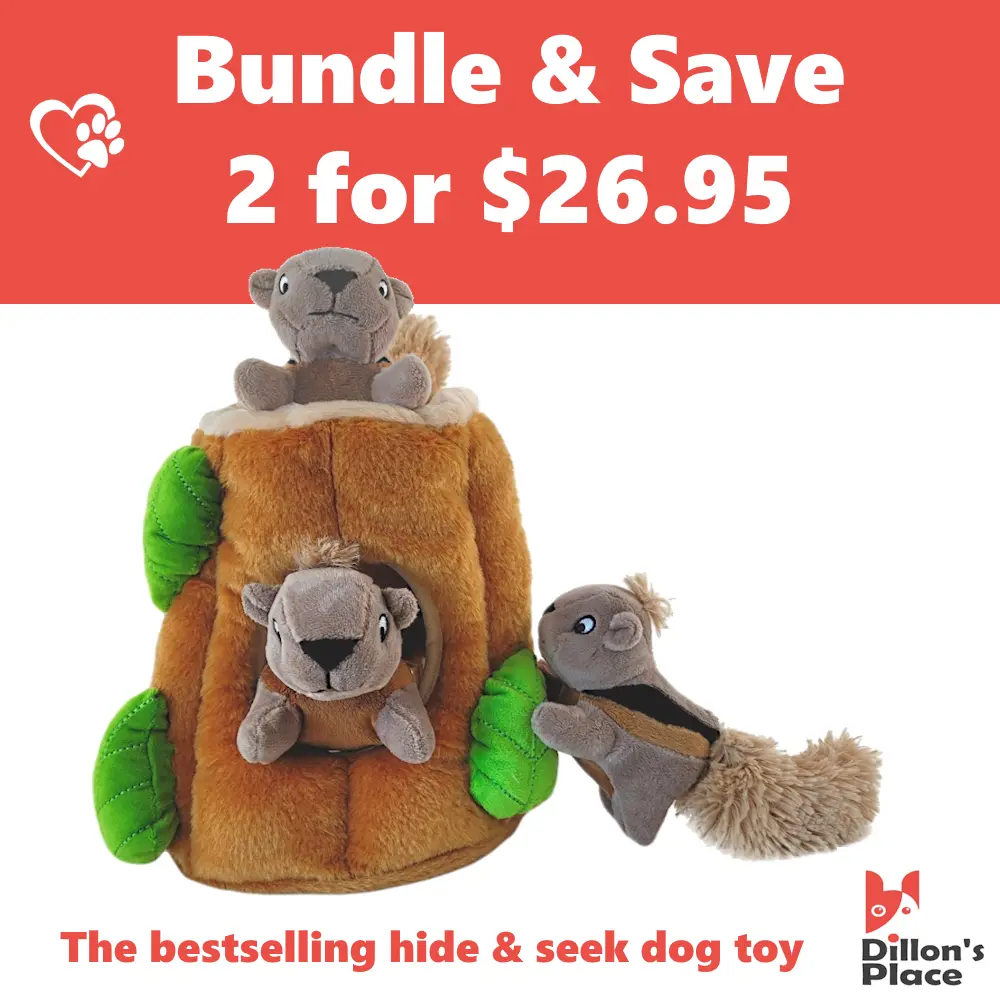 Dillon's Place 2-Pack Squirrel Chase Bestselling Interactive Dog Toy Plush Tree with 3 Squeaky Squirrels Each - Double the Fun & Save!