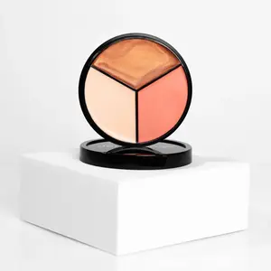 Lit From Within Luminizer Palette