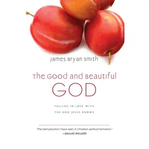 USED-The Good and Beautiful God: Falling in Love with the God Jesus Knows by Smith, James Bryan (Hardcover)