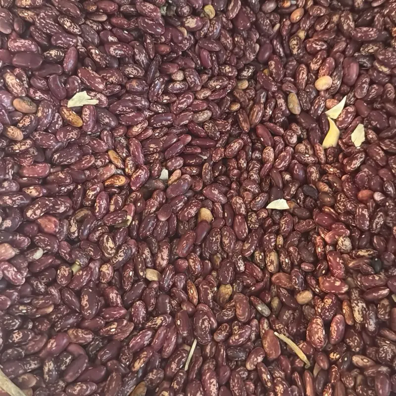 Red beans