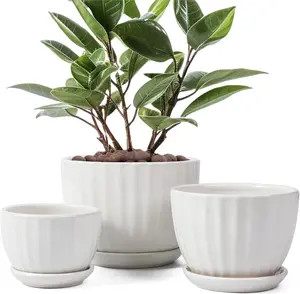 Ceramic Plant Pots with Drainage Holes and Saucers, Round White Flower Pots for Indoor Plant, Diameter 3.3/4.3/5.5 Inches Small Flower Planters Set of 3