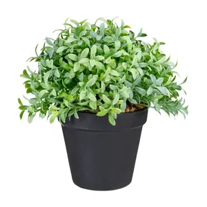 Northlight 7.5" Potted Green Artificial BoxwoodPlant