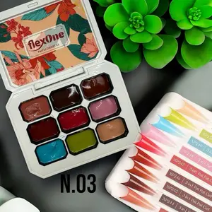 FlexOne 9 watercolor Pat Pat Ombre Gel Set palette or Nail Art ombre gel nail gel painting thick gel
