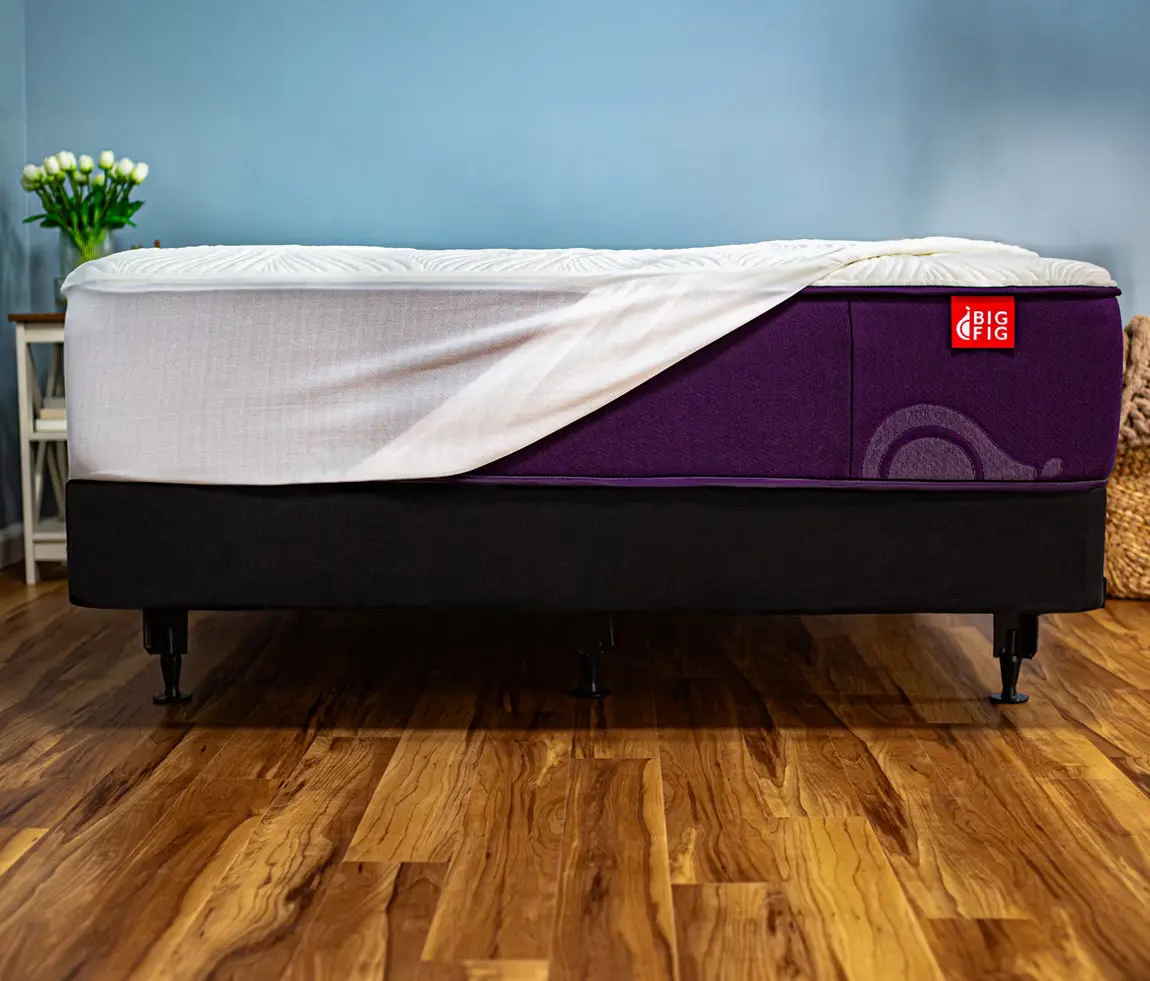 Big Fig Mattress Protector - Queen
