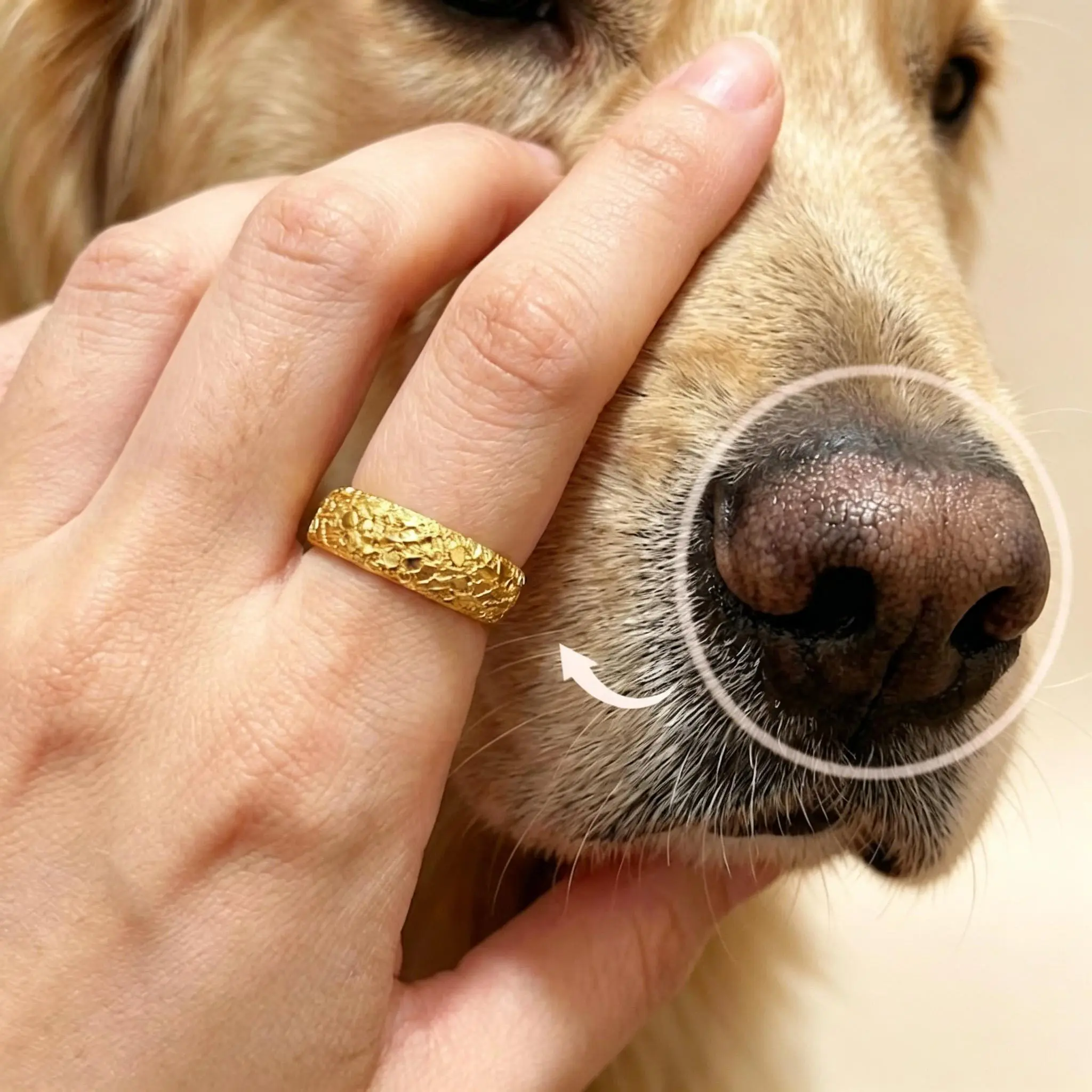 Custom Pet Nose Print Ring Gold Silver Color Personalized Engraved Name Textured Dog Cat Nose Memorial Jewelry Gift Pet Lovers
