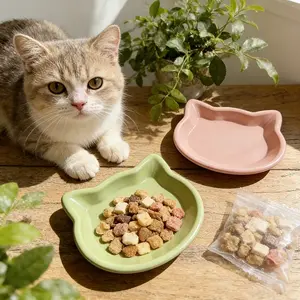 Cat Food Bowl, Canine Snack Tray, Low Profile Cat Dish, High-End Pet Plate, Chin Prevention, Home Use, Non-Toxic Material, Multi-Pet Family, Feeding