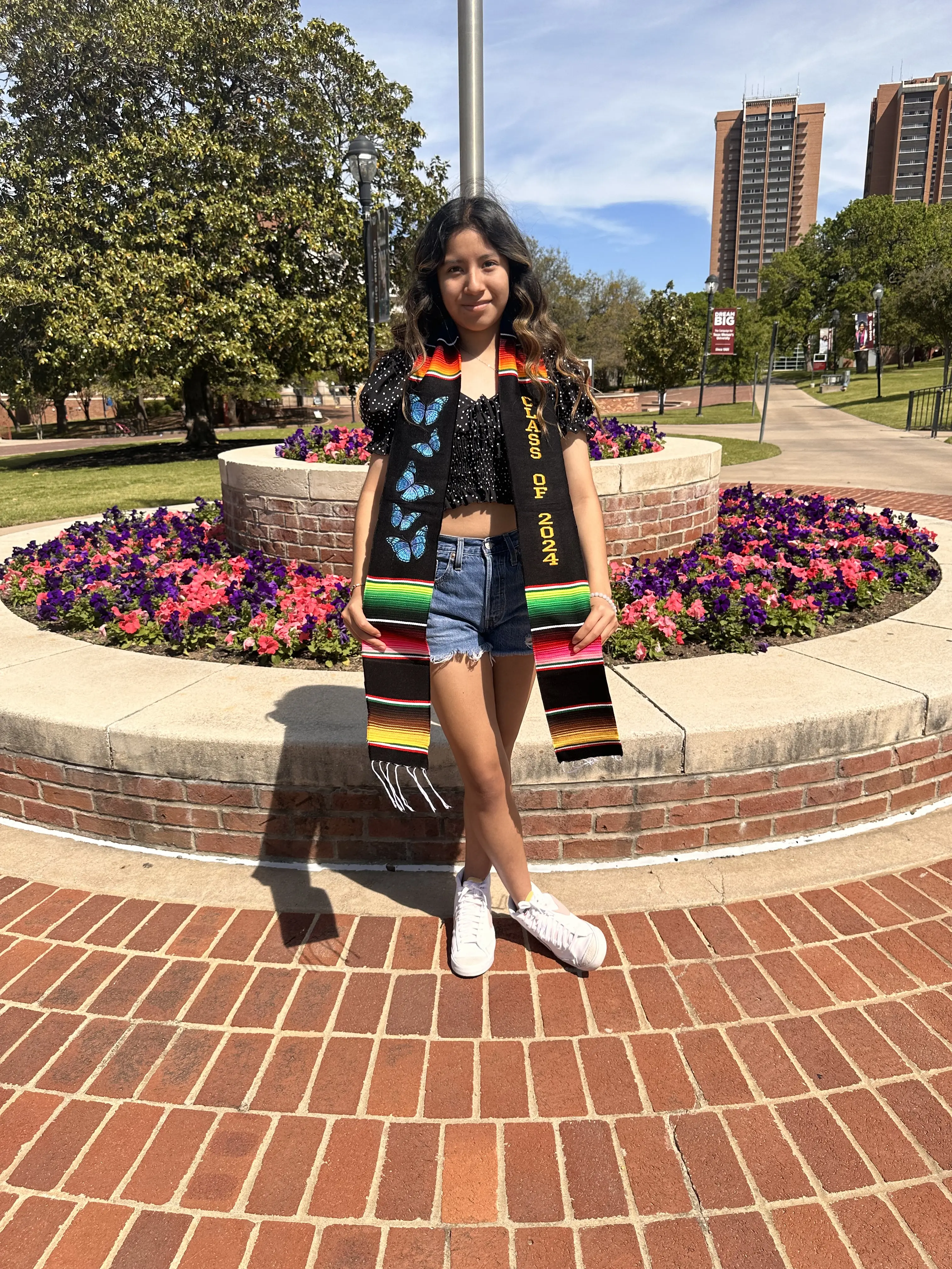 Class of 2024/Butterflies Mexican Sarape Graduation Stole
