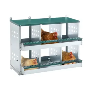 Metal 6-Hole Roll-Away Chicken Nesting Box with Easy-Clean Egg Collection Tray for Poultry (Farm Animal Pet Supplies)